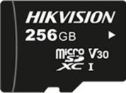 Hikvision HS-TF-L2-256G 256GB