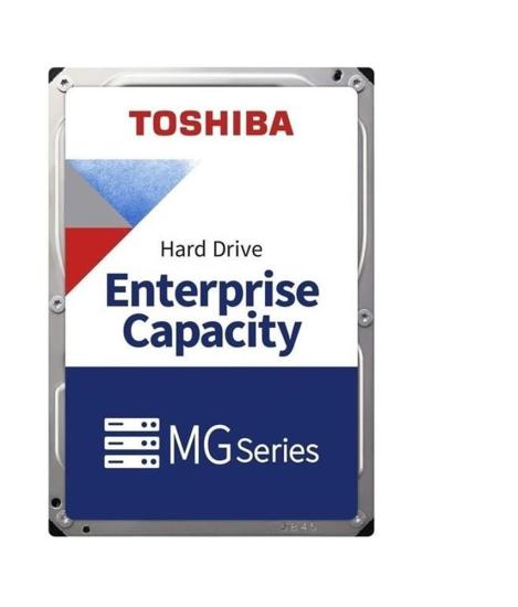 Toshiba 6 TB MG10ADA600E Nas ve Güvenlik Diski