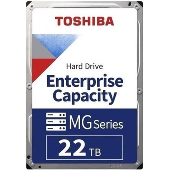 Toshiba 22 TB MG11ACA22TE Nas ve Güvenlik Diski