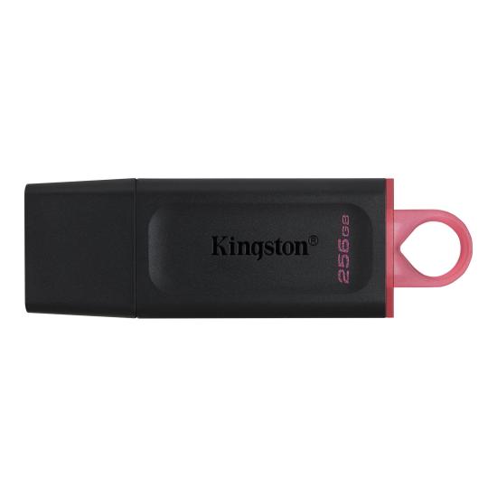 Kingston DTX-256GB 
