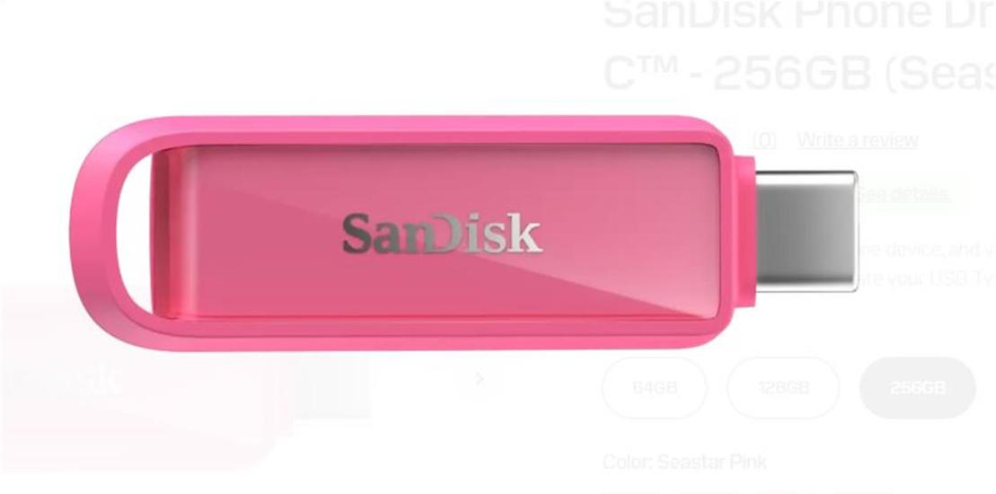 Sandisk SDIXS0N-256G-GN6NG 256GB Flash Bellek