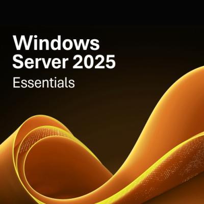 Windows Server 2025 Yazılımı W2K25ESN-ROK