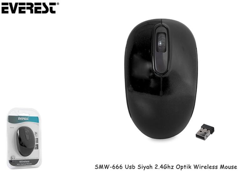 Everest SMW-666 USB Optik Kablosuz Mouse
