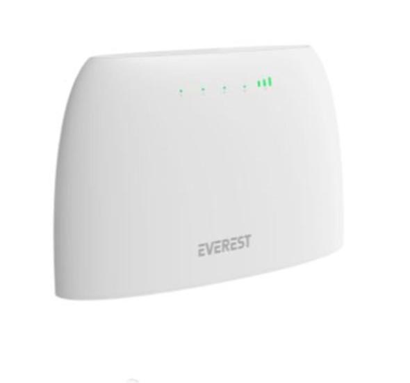 Everest EWR-4G03 300Mbps 2.4GHz Wireless Router