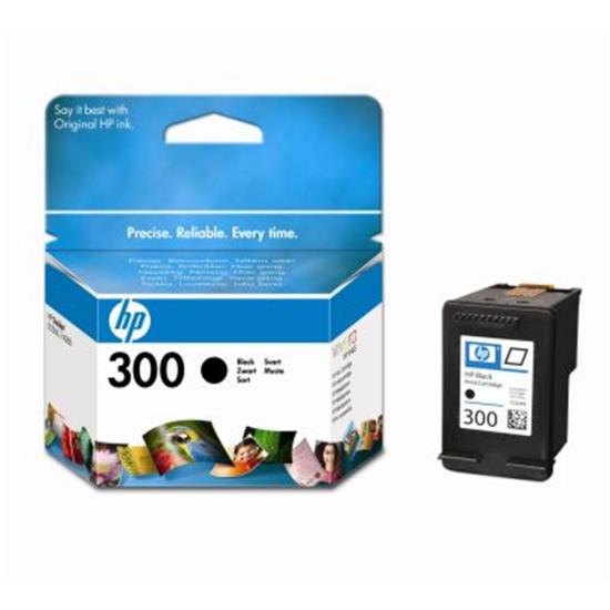 Hp CC640EE 300 Black Siyah Kartuş