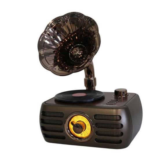 Everton Rt-704 Gramafonlu Nostaljik Radyo
