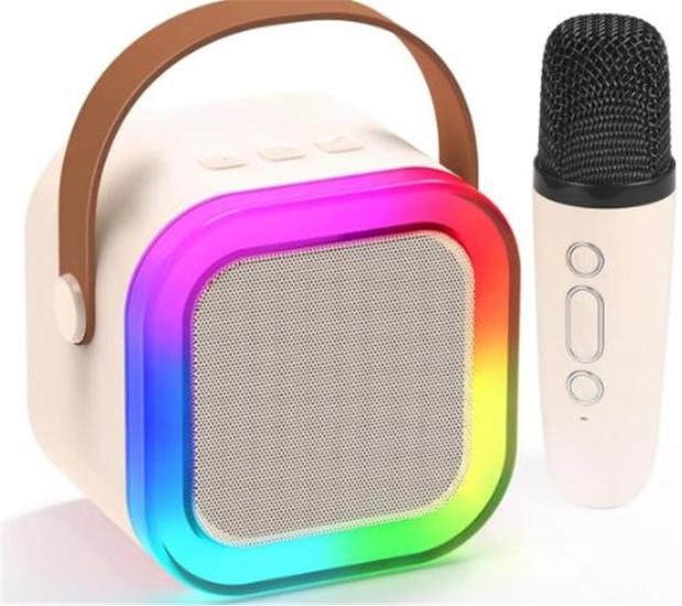 WowKids YS13 İki Mikrofonlu Pembe Karaoke Speaker