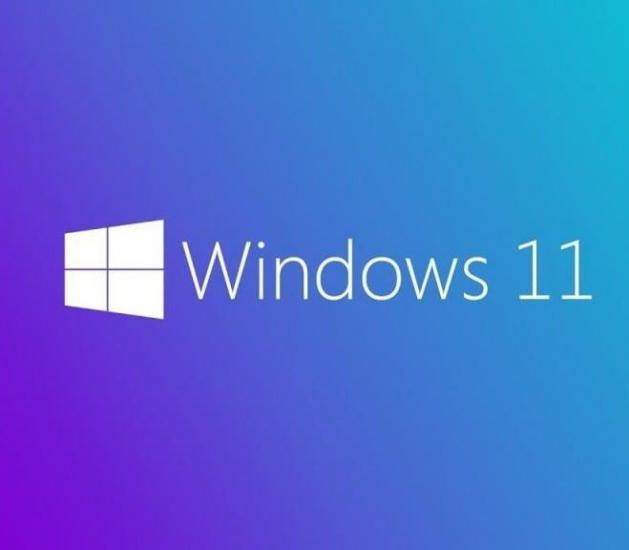 Ms Windows FQC-10528
